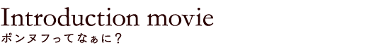 Introduction movie ポンヌフってなぁに？